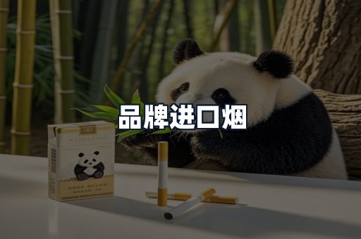品牌进口烟